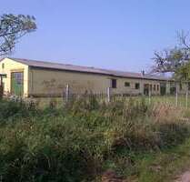 Spezialgewerbe in Fehrbellin - Linum 320.000,00 € 1150 m²