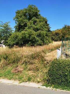 Foto - Grundstück zu verkaufen in Lauda-Königshofen 99.000,00 € 967 m²