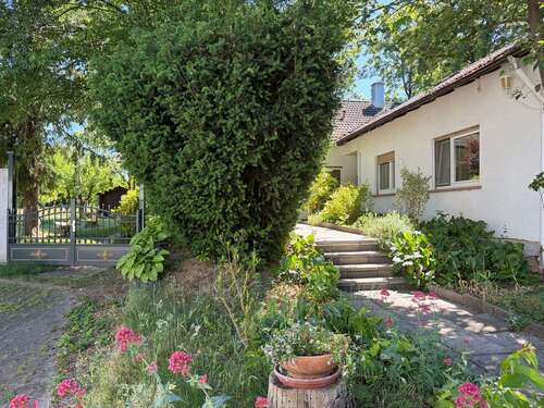 Foto - Haus zum Kaufen in Stadecken-Elsheim 819.500,00 € 258 m²