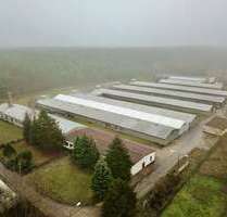 Halle in Storkow 1.249.000,00 € 8073 m²