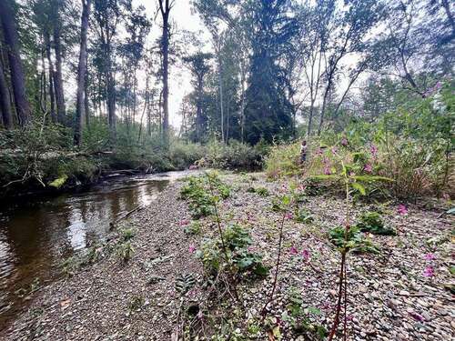 Foto - Grundstück zu verkaufen in Windach 15.000,00 € 2762 m²