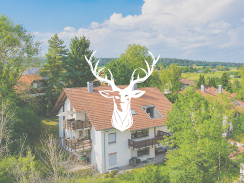 Foto - Wohnung zum Kaufen in Ühlingen-Birkendorf 185.000,00 € 90 m²