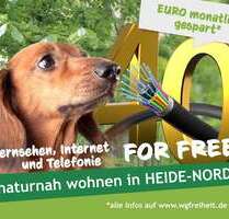 Wohnung zum Mieten in Halle (Saale) 422,22 € 70.37 m²