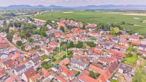 Foto - Haus zum Kaufen in Insheim 719.000,00 € 220 m²