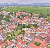 Haus zum Kaufen in Insheim 719.000,00 € 220 m²