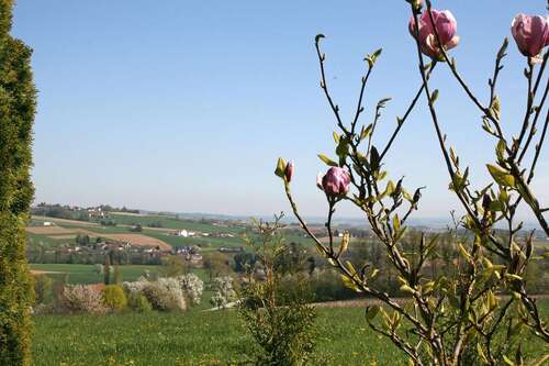 Foto - Haus zum Kaufen in Fürstenzell 445.000,00 € 155 m²