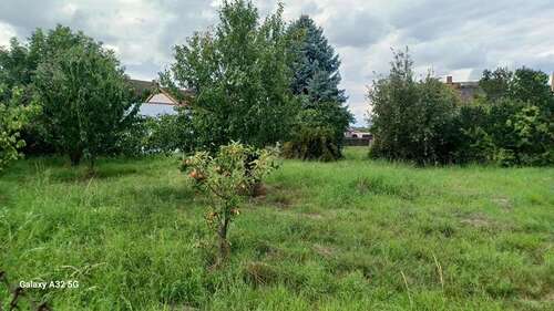 Foto - Grundstück zu verkaufen in Meuselwitz 60.000,00 € 3100 m²