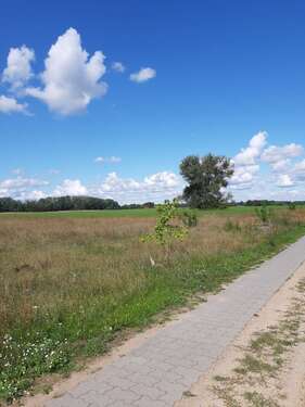 Foto - Grundstück zu verkaufen in Friedland 134.900,00 € 1065 m²