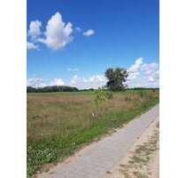 Grundstück zu verkaufen in Friedland 134.900,00 € 1065 m²