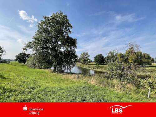 Foto - Grundstück zu verkaufen in Laußig 79.000,00 € 1469 m²