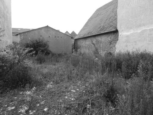 Foto - Grundstück zu verkaufen in Alzey 170.000,00 € 360 m²