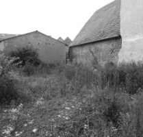 Grundstück zu verkaufen in Alzey 170.000,00 € 360 m²