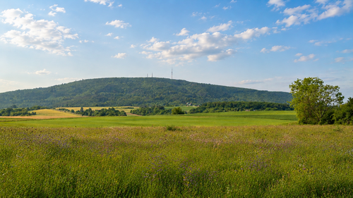 Foto - Grundstück zu verkaufen in Weitersweiler 143.000,00 € 445 m²