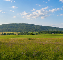 Grundstück zu verkaufen in Weitersweiler 143.000,00 € 445 m²