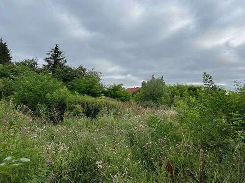 Foto - Grundstück zu verkaufen in Lalendorf 80.000,00 € 1001 m²