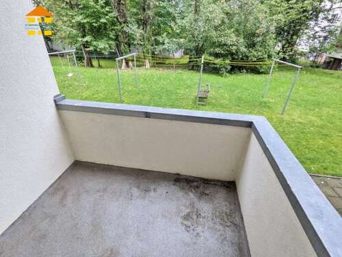 Foto - Wohnung zum Mieten in Chemnitz 245,00 € 36.73 m²
