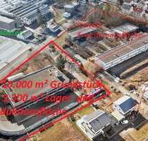 Halle in Walldürn 790.000,00 € 3300 m²