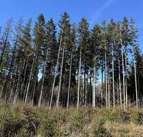 Grundstück in Dießen 79.000,00 € 16170 m²