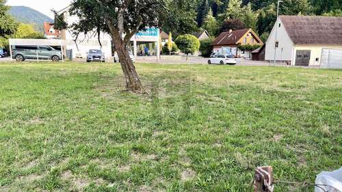 Foto - Grundstück zu verkaufen in Münstertal 890.000,00 € 1976 m²