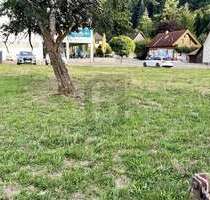 Grundstück zu verkaufen in Münstertal 890.000,00 € 1976 m²