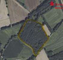 Grundstück in Badbergen 129.727,50 € 51891 m²