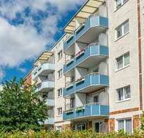 Wohnung zum Mieten in Rostock 377,00 € 50.5 m²