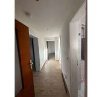 Wohnung zum Mieten in Wuppertal 450,00 € 56 m²