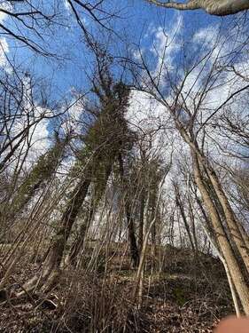 Foto - Grundstück zu verkaufen in Neckartenzlingen 5.500,00 € 2123 m²