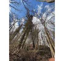 Grundstück zu verkaufen in Neckartenzlingen 5.500,00 € 2123 m²