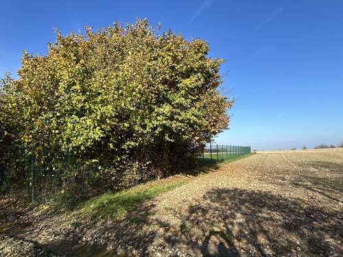 Foto - Grundstück in Billerbeck 172.500,00 € 10854 m²