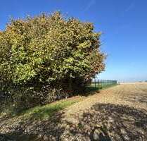 Grundstück in Billerbeck 172.500,00 € 10854 m²