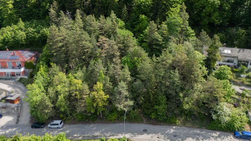 Foto - Grundstück zu verkaufen in Riedenburg 690.000,00 € 2198 m²