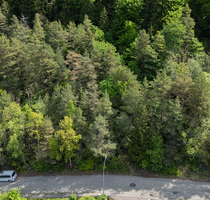 Grundstück zu verkaufen in Riedenburg 690.000,00 € 2198 m²