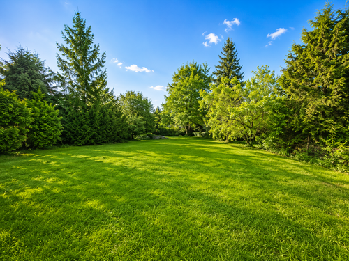 Foto - Grundstück zu verkaufen in Trebbin 420.000,00 € 984 m²