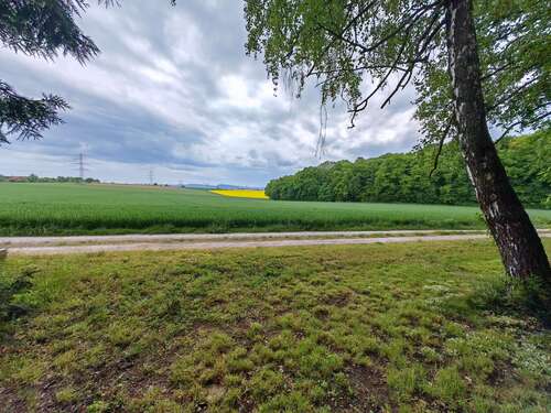 Foto - Haus zum Kaufen in Künzelsau 489.000,00 € 160 m²