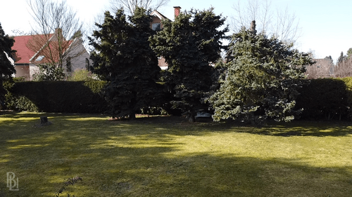 Foto - Grundstück zu verkaufen in Potsdam 337.000,00 € 600 m²