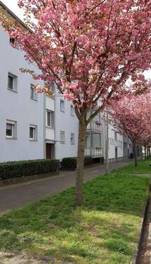 Foto - Wohnung zum Mieten in Herne 303,75 € 45 m²