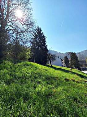 Foto - Grundstück zu verkaufen in Calw-Hirsau 185.000,00 € 1240 m²