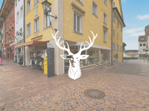 Foto - Einzelhandel in Waldshut 6.700,00 € 221 m²