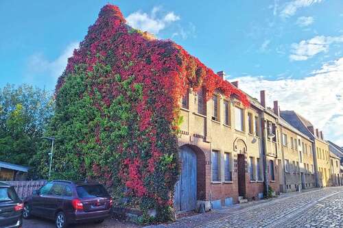 Foto - Grundstück zu verkaufen in Coswig (Anhalt) 165.000,00 € 4202 m²