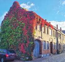 Grundstück zu verkaufen in Coswig (Anhalt) 165.000,00 € 4202 m²