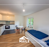 Wohnung zum Mieten in Stuttgart Sonnenberg 730,00 € 28 m²