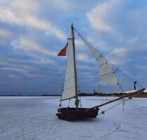 Grundstück zu verkaufen in Ribnitz-Damgarten OT Langendamm 330.000,00 € 4237 m²