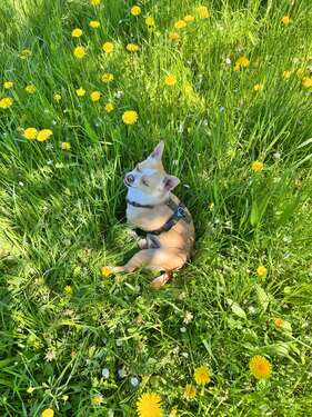 Foto - Wohnung zum Kaufen in Herrenberg 295.000,00 € 82 m²