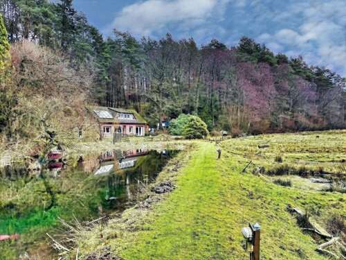 Foto - Haus zum Kaufen in Bispingen 249.000,00 € 139.29 m²
