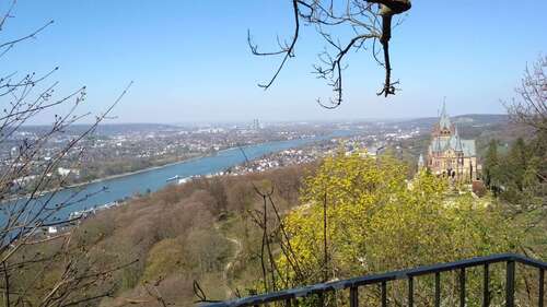 Foto - Wohnung zum Mieten in Bonn 315,00 € 26 m²