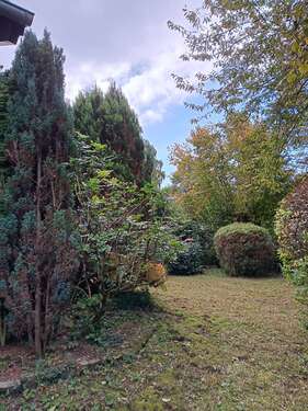 Foto - Wohnung zum Kaufen in Diessen am Ammersee 329.000,00 € 54 m²