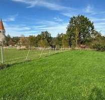 Grundstück zu verkaufen in Burghaslach 349.000,00 € 3171 m²