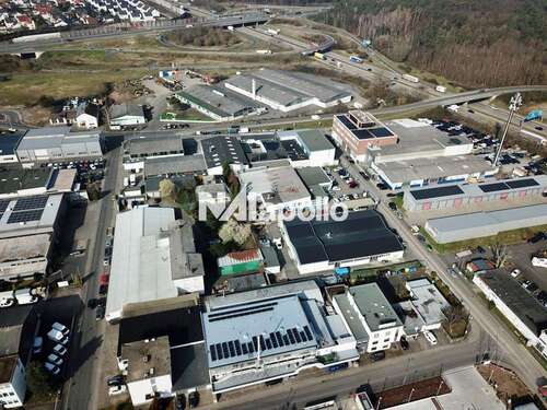 Foto - Halle in Dieburg 29.000,00 € 6800 m²