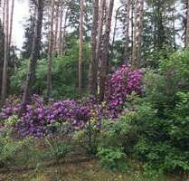 Grundstück zu verkaufen in Lindwedel 189.000,00 € 1000 m²